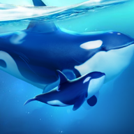 小小水世界（World of Water）