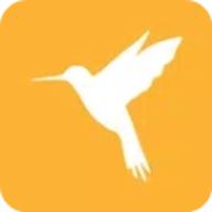 蓝鸟抓包(Reqable)