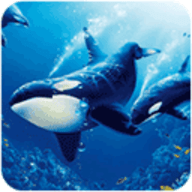 虎鲸模拟器（The Killer Whale）