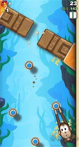 dasgdsgadsgdasgasdg (2).jpg