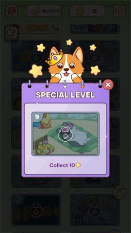 dsaadgsadgsadgsadgs (1).jpg