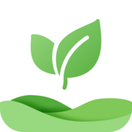 体检报告健康分析助手