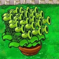 疯狂植物保卫战