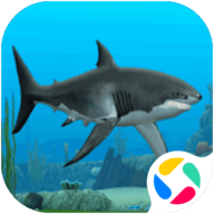 鲨鱼模拟器