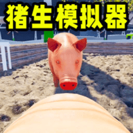 小猪模拟