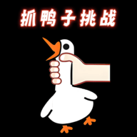 抓鸭子挑战
