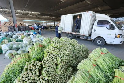 货源批发软件app推荐